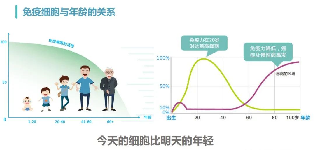 NK細胞與年齡的關系