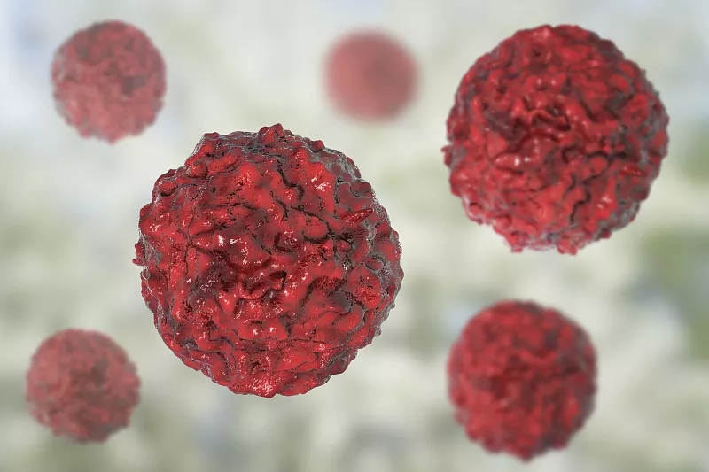 臍帶間充質干細胞的生物學特點?