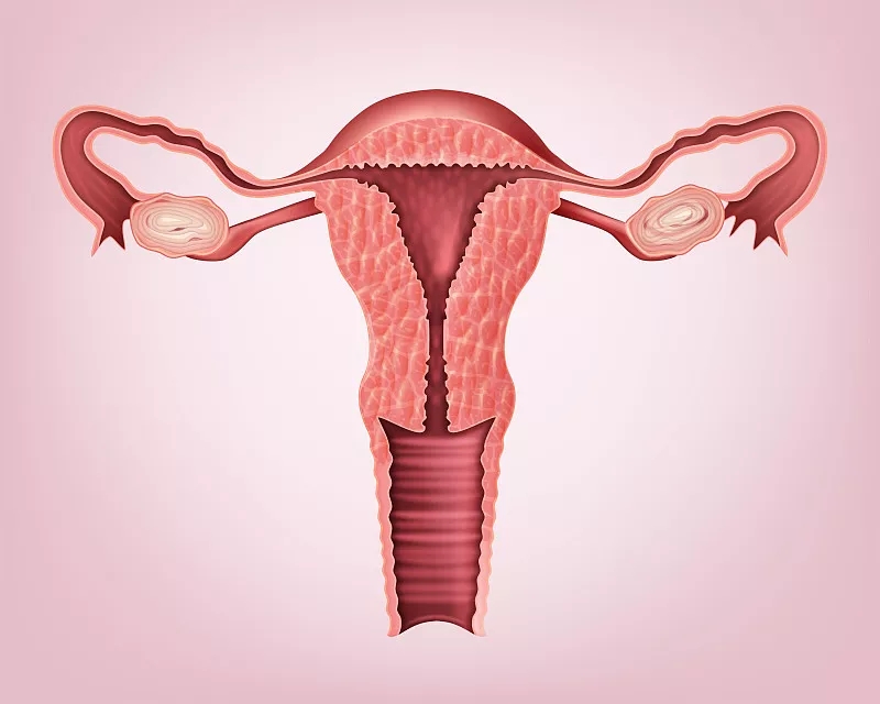 廣州醫(yī)科大學(xué)第三附屬醫(yī)院：干細胞移植治療卵巢早衰的臨床分析