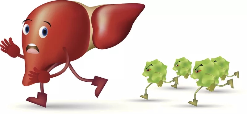 臍帶間充質(zhì)干細(xì)胞治療肝病的應(yīng)用