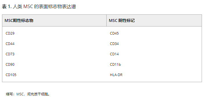 人類MSC的表面標(biāo)志物表達(dá)譜