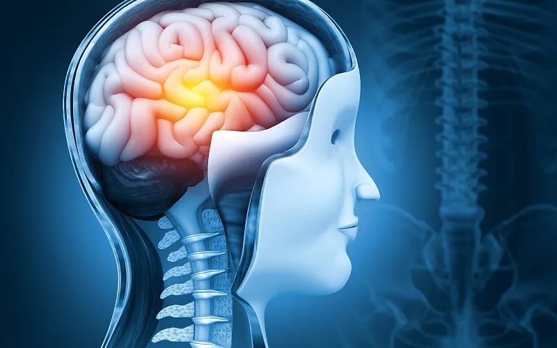 干細(xì)胞療法和大腦神經(jīng)系統(tǒng)疾病：真相是什么？