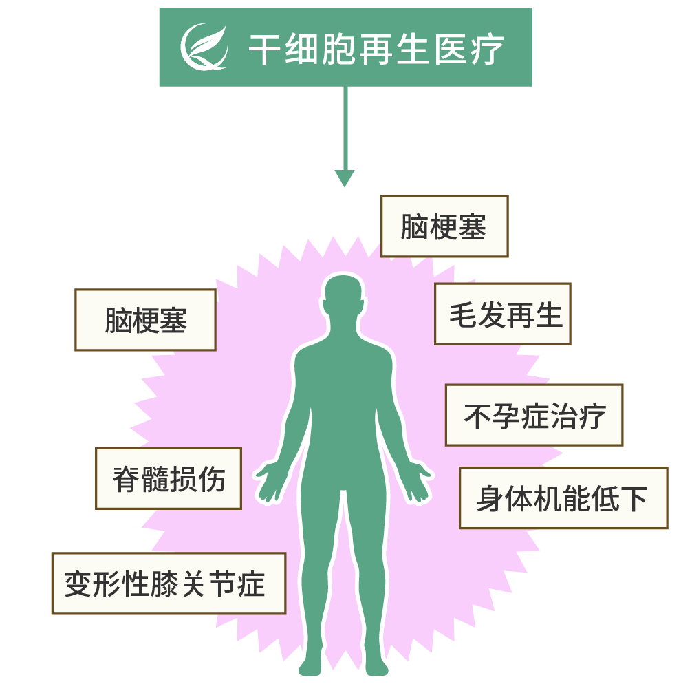 干細(xì)胞可以治療哪些疾??？