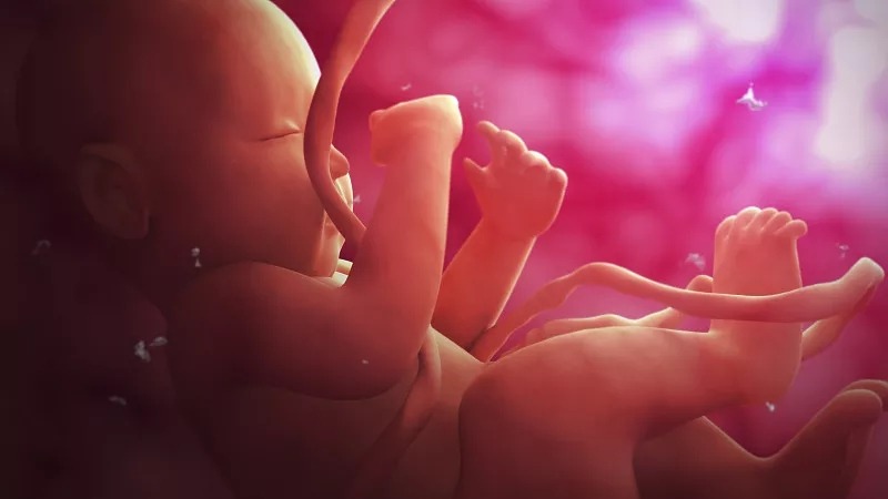 臍帶間充質(zhì)干細胞的作用和功效是什么？在哪些疾病具有臨床應(yīng)用價值？