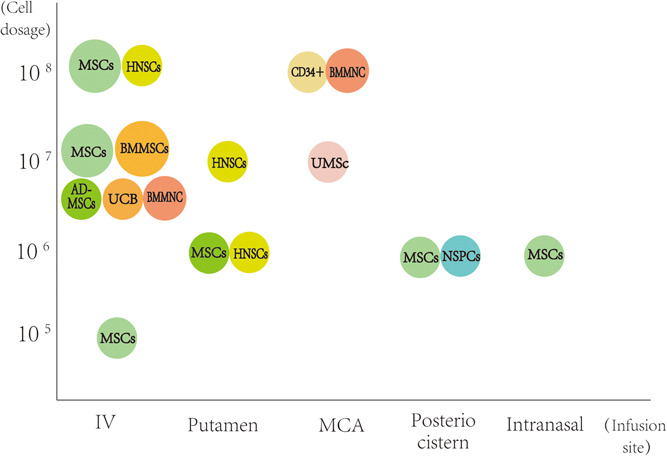 圖1：臨床試驗(yàn)中細(xì)胞類型、劑量和輸注部位之間關(guān)系的可視化
