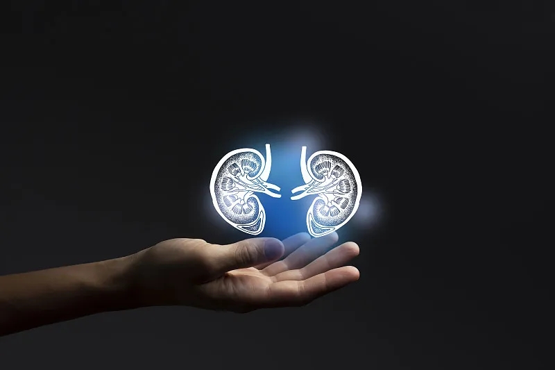 除了透析治療腎衰竭，還有什么治療方法？