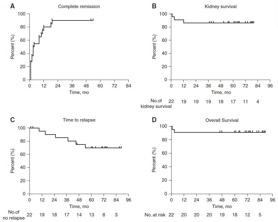 圖4：隊列中患者的完全緩解概率、腎臟存活率、復發時間和總體存活率。