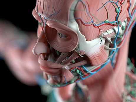 人類(lèi)是由什么構(gòu)成的 人類(lèi)是由什么構(gòu)成的