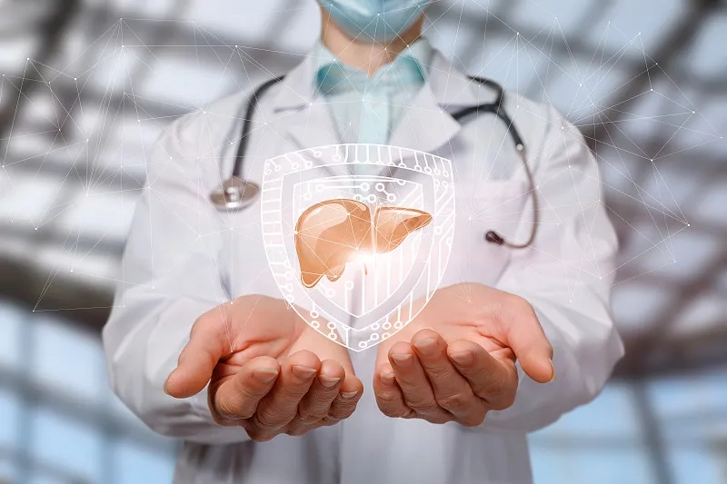 間充質干細胞治療肝?。含F狀與展望