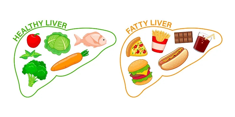 如何才能讓我的肝臟恢復健康？