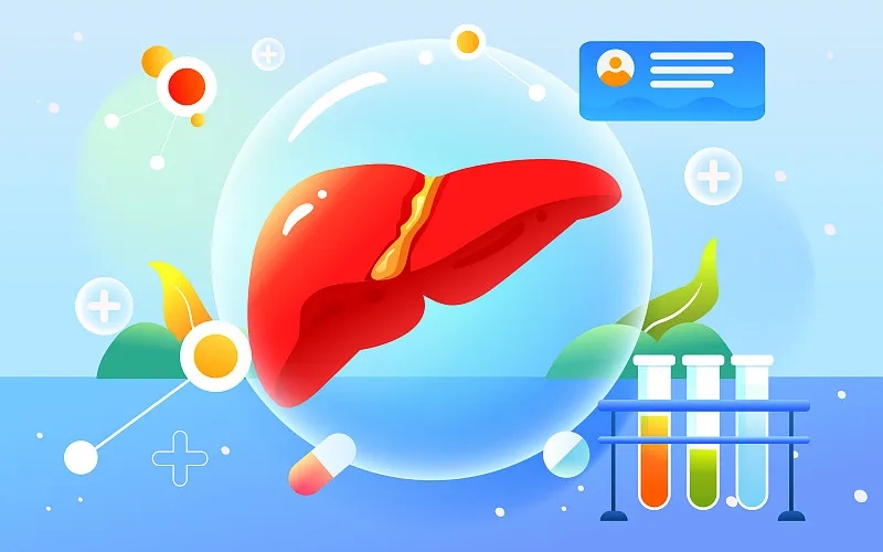 肝臟大小對我的健康有何影響？