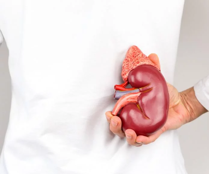 慢性腎臟病的第一階段：原因、癥狀和治療