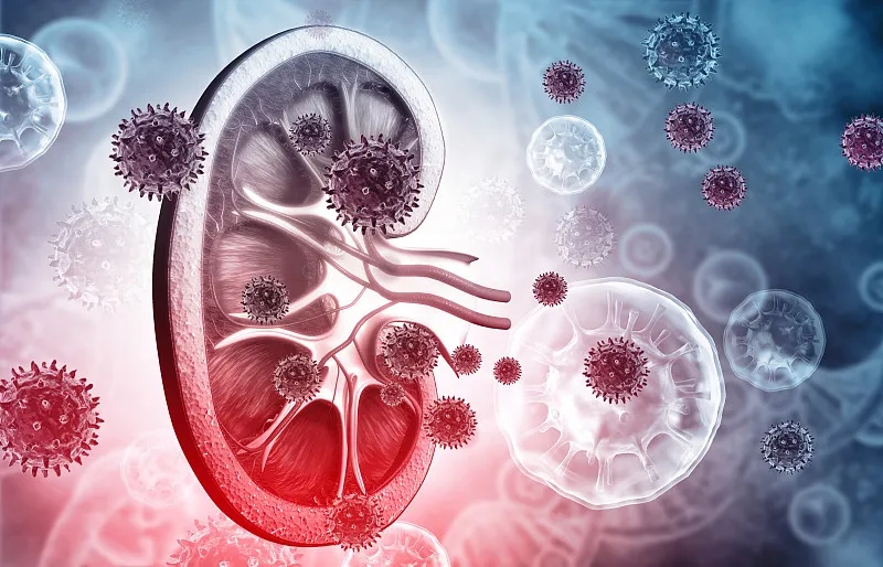 狼瘡性腎炎的體征和癥狀是什么？及其治療方法