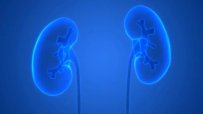 干細胞在治療腎病中取得哪些進展？未來將面臨哪些挑戰？