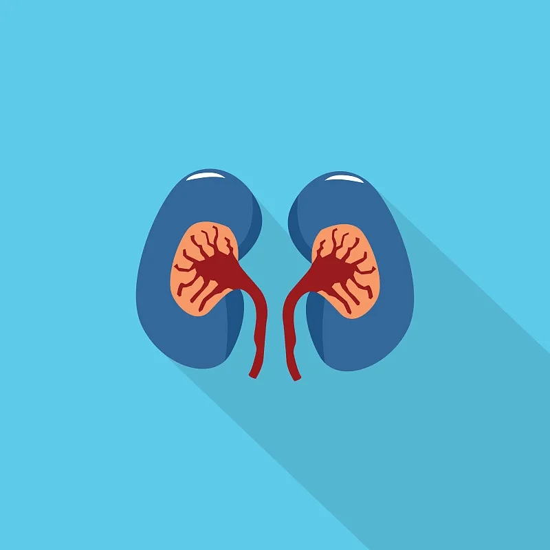 干細(xì)胞療法對狼瘡性腎炎和系統(tǒng)性紅斑狼瘡腎功能的療效