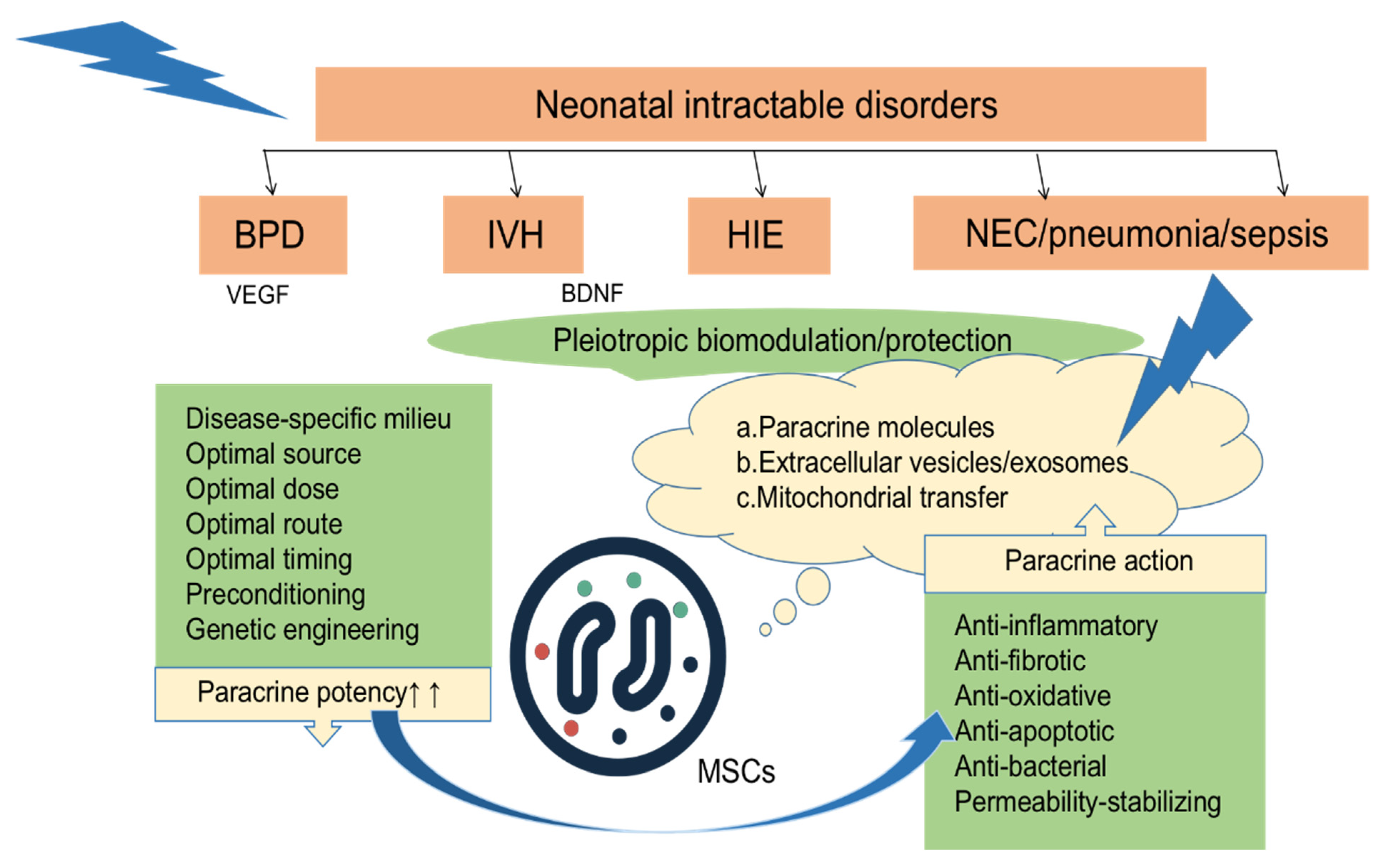 圖2:MSCs局部或全身移植到各種組織損傷部位后,通過(guò)分泌多種因子發(fā)揮抗炎、抗纖維化、抗氧化、抗凋亡、抗菌、穩(wěn)定通透性等旁分泌作用。 圖2:MSCs局部或全身移植到各種組織損傷部位后,通過(guò)分泌多種因子發(fā)揮抗炎、抗纖維化、抗氧化、抗凋亡、抗菌、穩(wěn)定通透性等旁分泌作用。