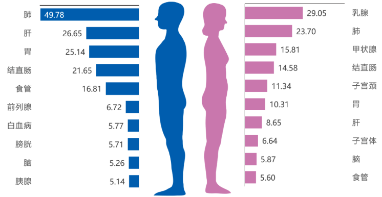 中山大學(xué)腫瘤防治中心揭示：免疫細(xì)胞治療，助最高發(fā)的5大癌癥患者重獲新生！