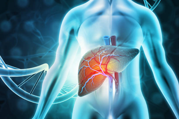 干細胞治療肝病的臨床前景與研究現狀的綜述