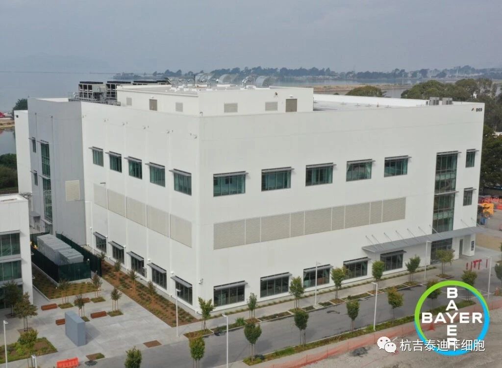 投資2.5億美元！拜耳新建細胞治療工廠，推進細胞療法生產！
