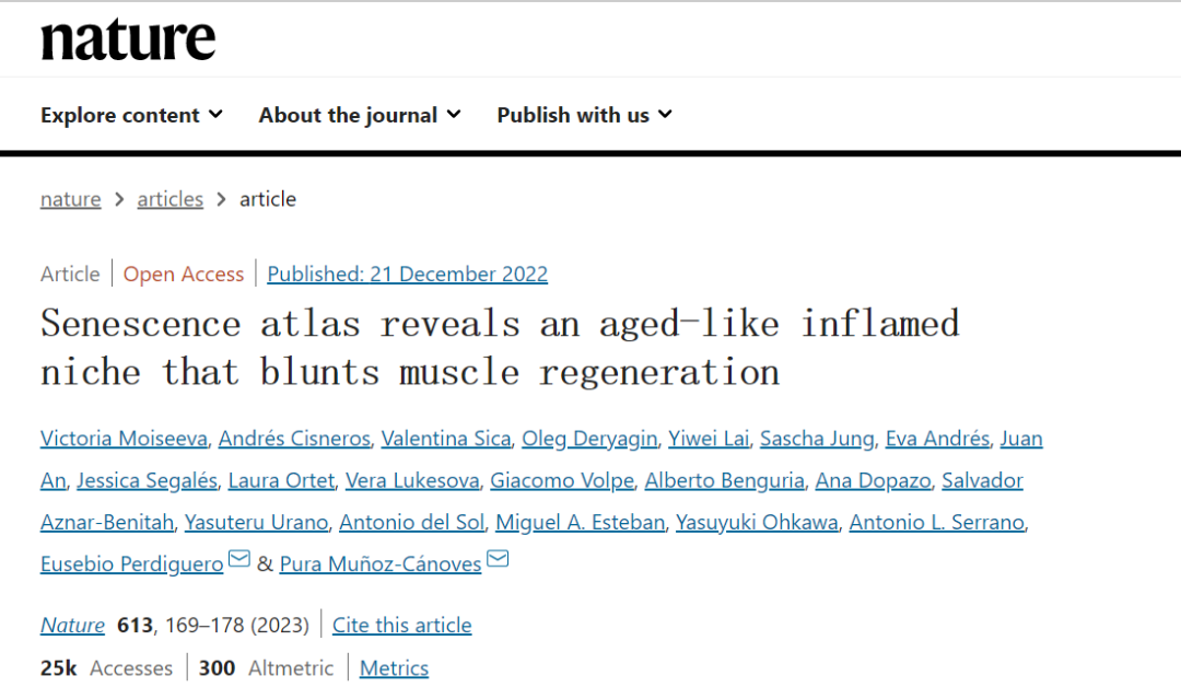 衰老圖譜揭示了一個(gè)類似衰老的發(fā)炎生態(tài)位，會(huì)阻礙肌肉再生
