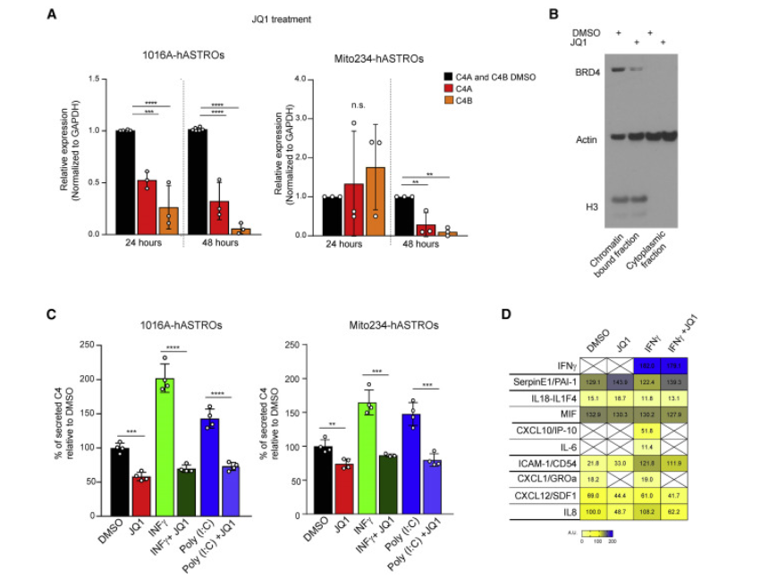 △人星形膠質(zhì)細(xì)胞分泌C4