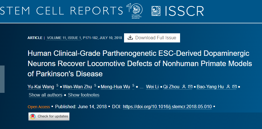 人類臨床級孤雌生殖 ESC 衍生的多巴胺能神經(jīng)元可恢復(fù)非人類靈長類動物帕金森病模型的運動缺陷 人類臨床級孤雌生殖 ESC 衍生的多巴胺能神經(jīng)元可恢復(fù)非人類靈長類動物帕金森病模型的運動缺陷