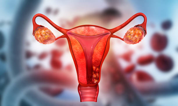 支持生物療法治療卵巢早衰：證據(jù)是什么？