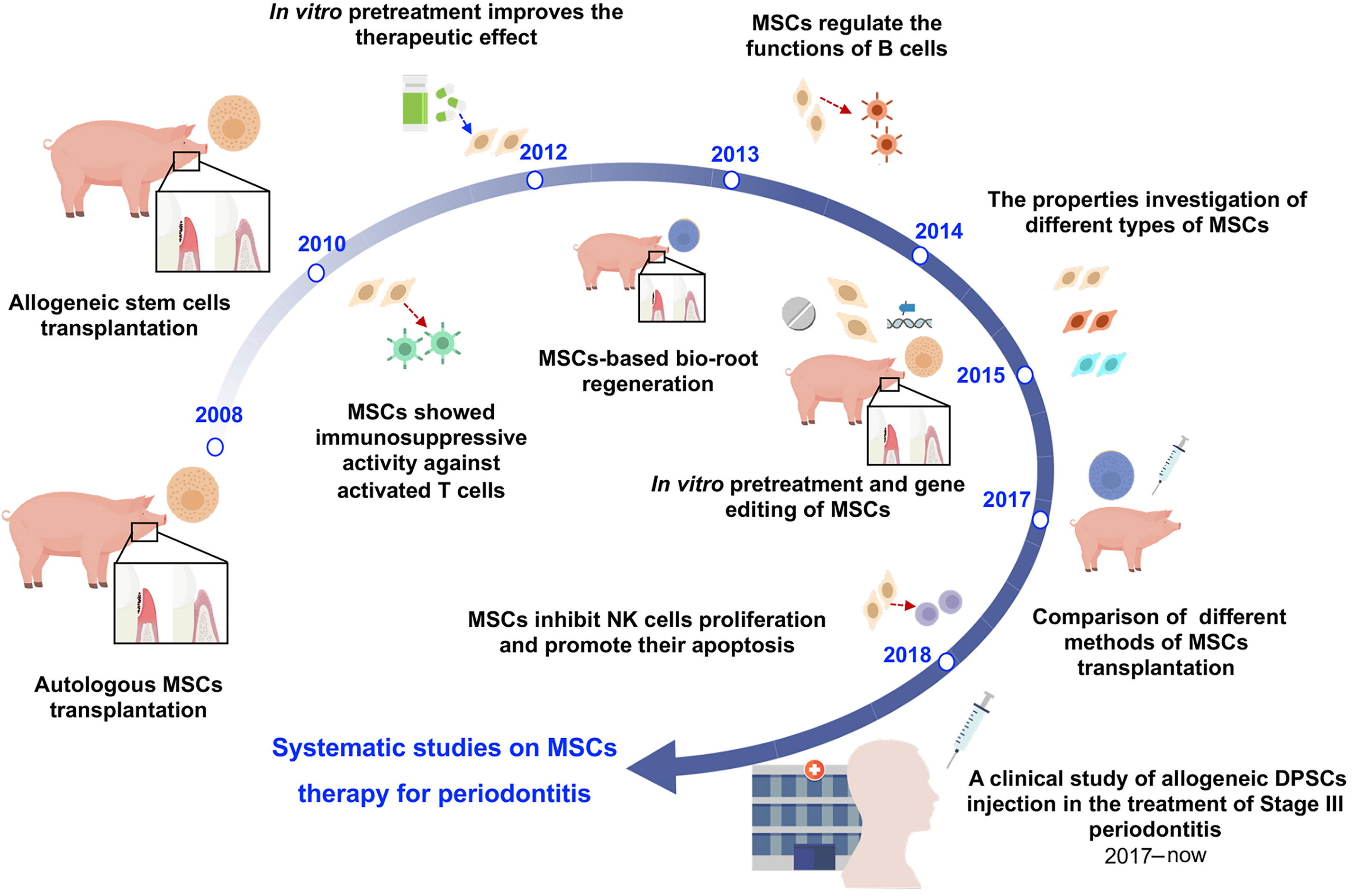 圖1：中國開發(fā)治療牙周炎的間充質干細胞藥物示意圖