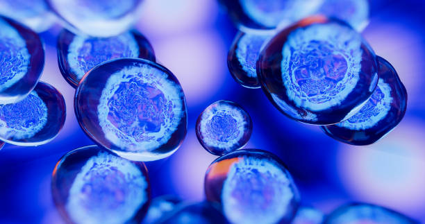 人間充質干細胞藥物的開發(fā)及臨床應用