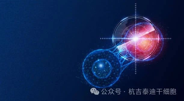 盤點2023干細胞療法五大突破性進展，沖破難治性疾病壁壘