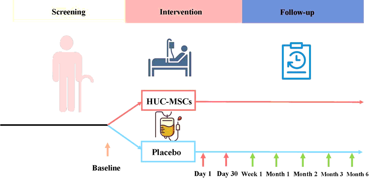 圖1：所有評估均在首次靜脈輸注HUC-MSC后1周、1、2、3和6個月時進行