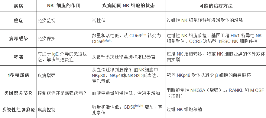NK細胞：在抗擊不同疾病中發揮的作用！