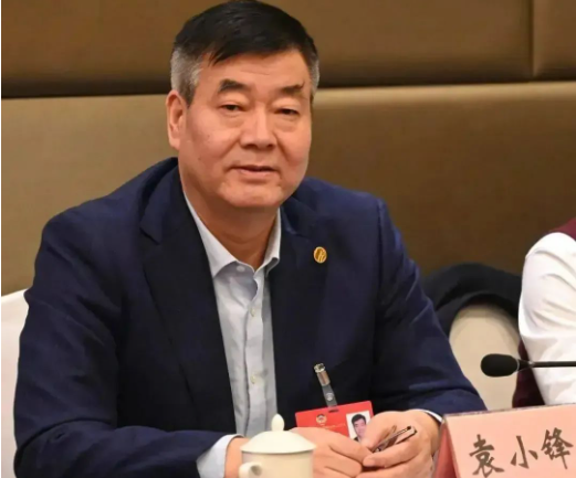 陜西省政協委員袁小鋒 陜西省政協委員袁小鋒