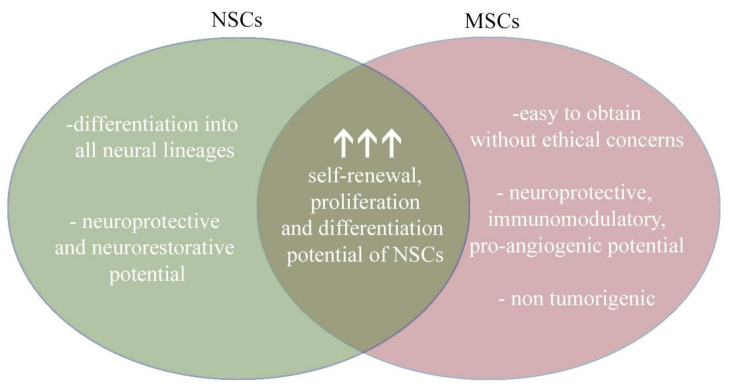 圖4：將神經(jīng)干細胞和間充質(zhì)干細胞的治療益處相結合，為治療提供了新的視角。