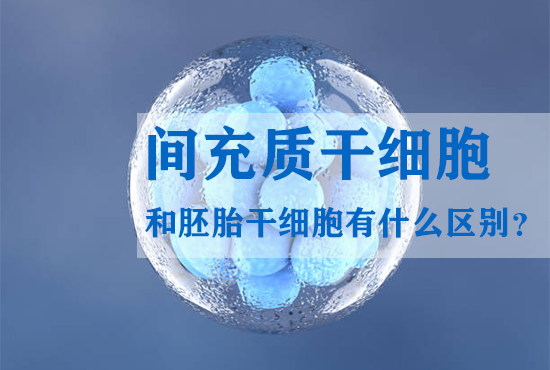 間充質(zhì)干細胞和胚胎干細胞有什么區(qū)別？