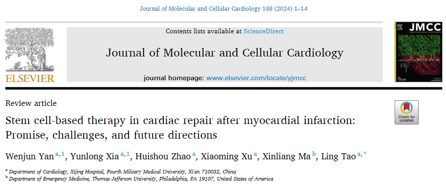 干細(xì)胞治療效果不佳？這四招能助你效果大增！