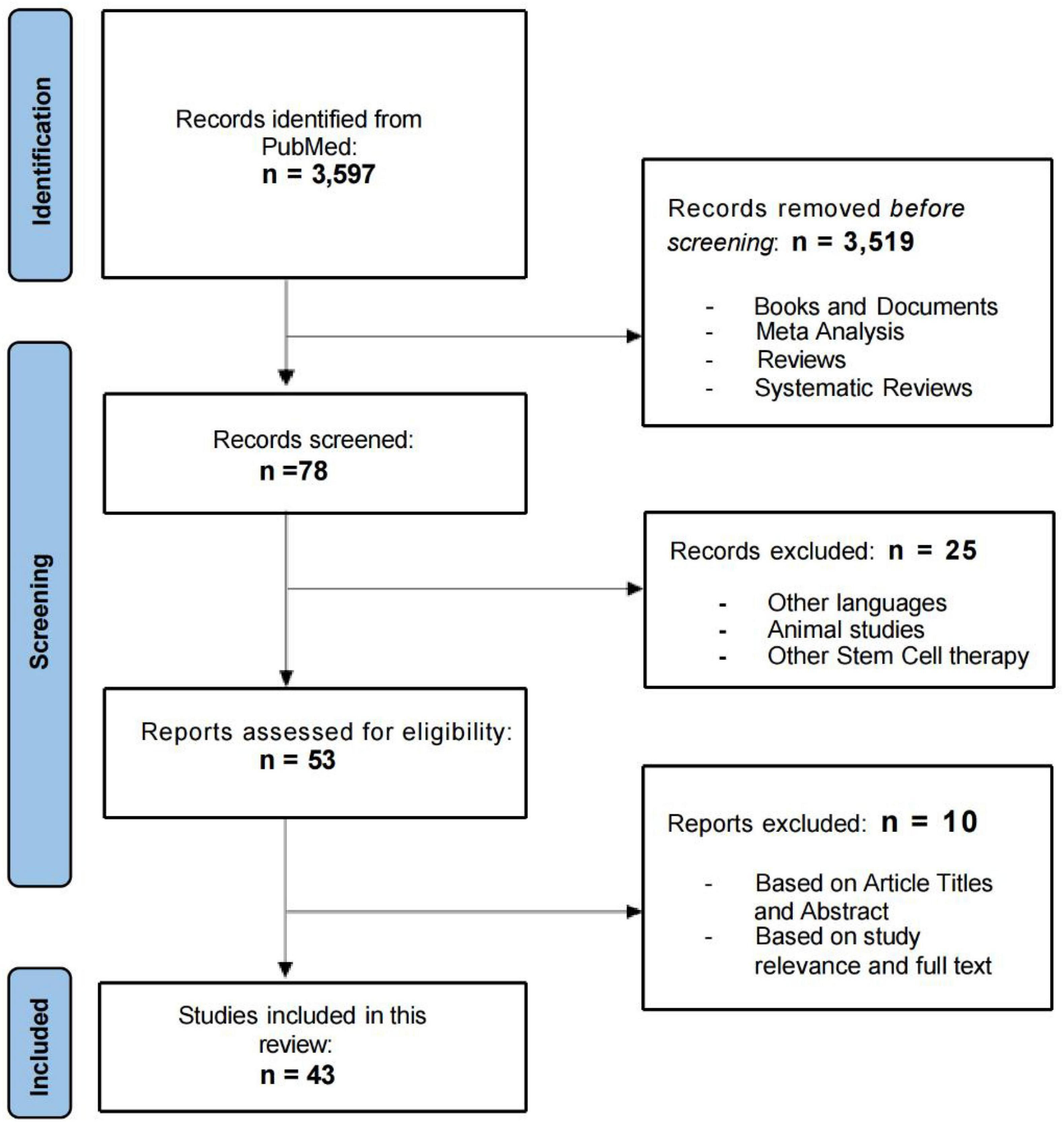 審查流程的流程圖如圖1所示。