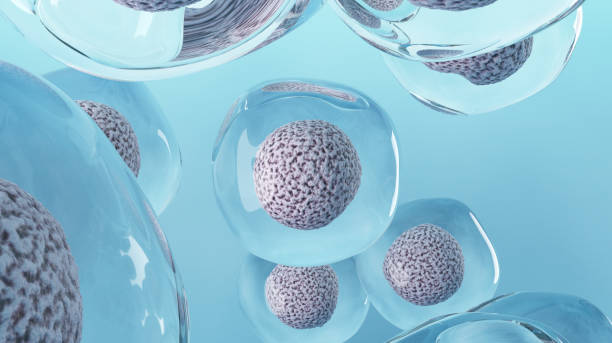 羊膜干細胞療法有效嗎? 羊膜干細胞療法有效嗎?