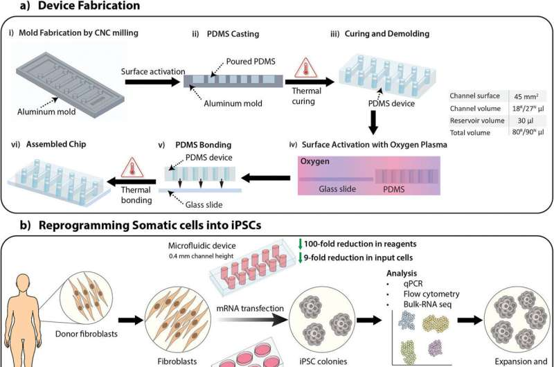 新設(shè)備改善了干細胞的生成,為阿爾茨海默氏癥細胞療法提供了機會 新設(shè)備改善了干細胞的生成,為阿爾茨海默氏癥細胞療法提供了機會