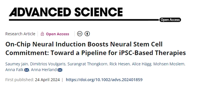 片上神經(jīng)誘導增強了神經(jīng)干細胞的承諾:邁向基于iPSC的療法的管道 片上神經(jīng)誘導增強了神經(jīng)干細胞的承諾:邁向基于iPSC的療法的管道