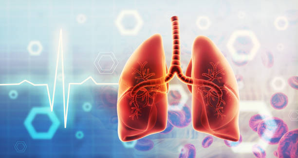 肺纖維化：干細(xì)胞治療是前進(jìn)的方向嗎？