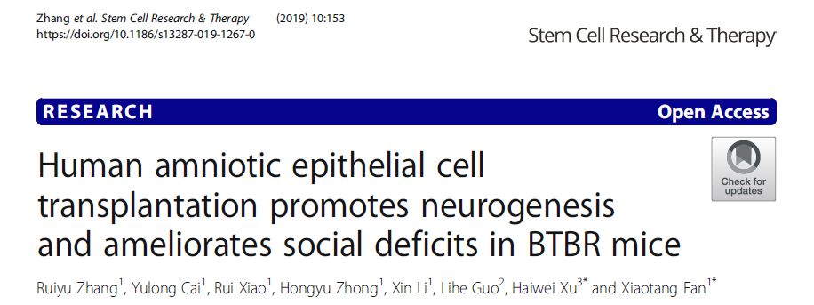 人類羊膜上皮細胞移植促進 BTBR 小鼠的神經(jīng)發(fā)生并改善社交缺陷