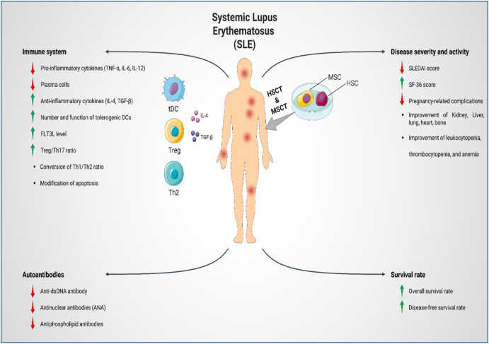 圖1：SLE患者的疾病發病機制、嚴重程度和活動性。