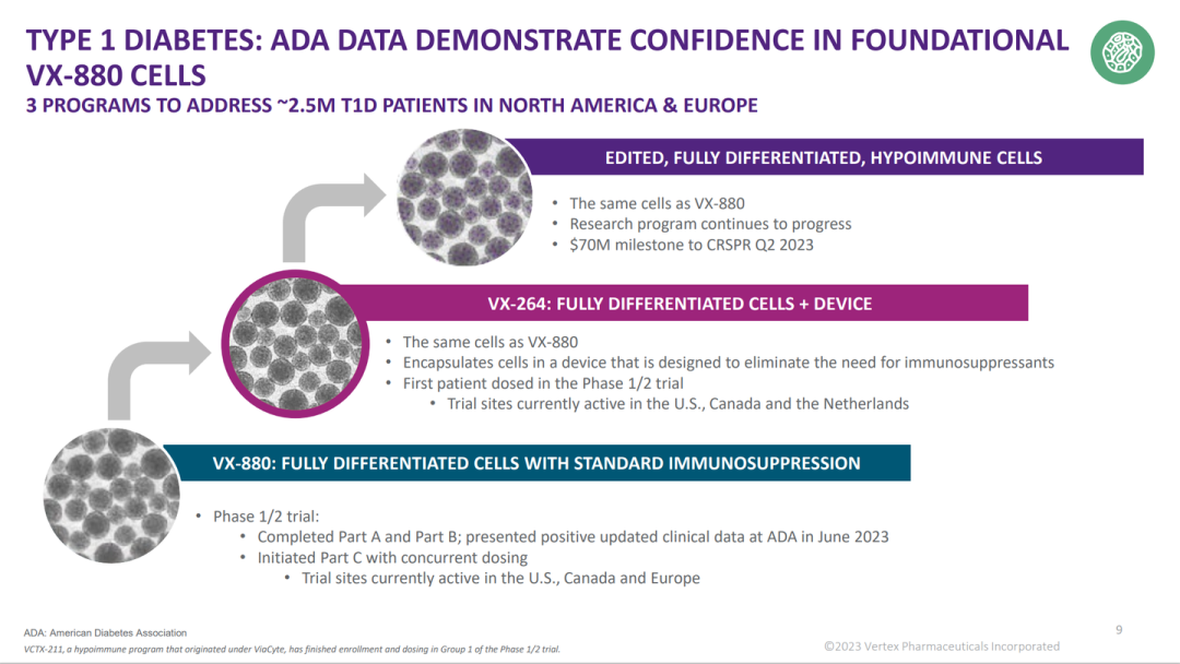 圖1：VERTEX糖尿病干細胞管線