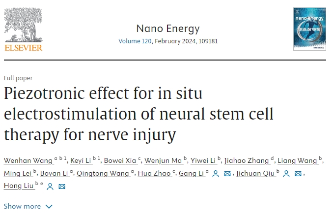 壓電效應(yīng)在神經(jīng)干細胞原位電刺激治療神經(jīng)損傷中的應(yīng)用