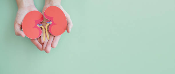 慢性腎病治療，你了解這6種方法嗎？