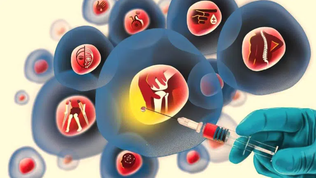 干細(xì)胞與再生醫(yī)學(xué)