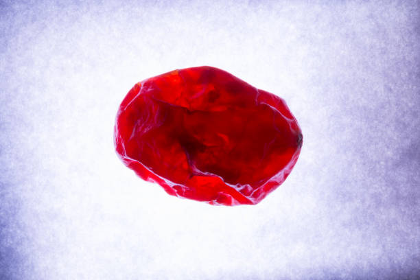 什么是血腦屏障？間充質(zhì)干細胞是否具備穿過血腦屏障的能力？