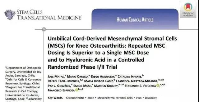 臍帶間充質(zhì)基質(zhì)細(xì)胞 (MSC) 治療膝骨關(guān)節(jié)炎：在一項隨機對照 I/II 期試驗中，重復(fù) MsC 給藥優(yōu)于單次 MsC 給藥和透明質(zhì)酸