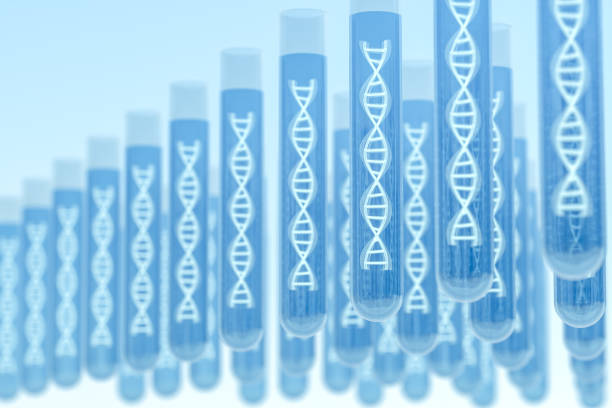 強(qiáng)直性脊柱炎基因檢測(cè)